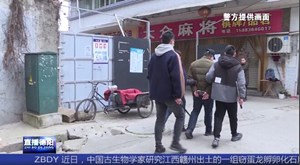 岁末年关小偷“活跃” 巡逻民警“手到擒贼”