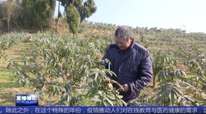 聂中宇：用双手代替双眼 用坚韧书写不屈人生