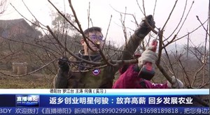 返乡创业明星何骏：放弃高薪 回乡发展农业