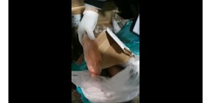 警惕！120公斤“三无”冻货在德阳被查！！已立案调查！
