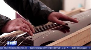 邹小明：斫桐木为琴 安生活轻音