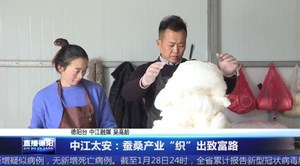 中江太安：蚕桑产业“织”出致富路