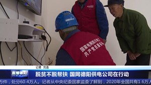 脱贫不脱帮扶 国网德阳供电公司在行动