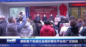 德阳首个街道社会组织孵化平台在广汉启动