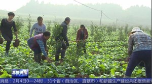 中江：累计投入3.1亿资金 助力产业园建设