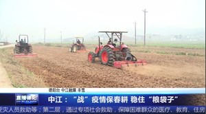 中江：“战”疫情保春耕 稳住“粮袋子”