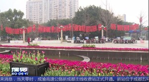 16万盆鲜花迎新春 姹紫嫣红年味浓