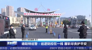 德阳特巡警：巡逻防控在一线 履职尽责护平安