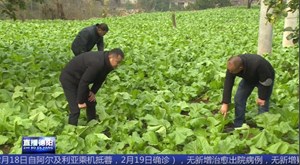 中江：念好“山字经” 巧打特色牌