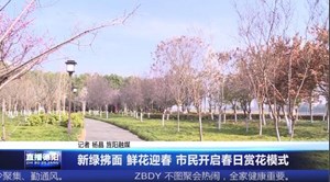 新绿拂面 鲜花迎春 市民开启春日赏花模式