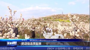 罗江：调元故里樱桃花绽放 农旅发展振兴乡村