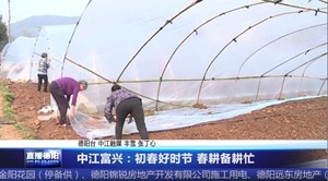 中江富兴：初春好时节 春耕备耕忙
