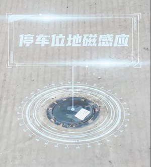 “智慧停车”覆盖市区223个停车点位！