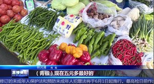 辣椒价格“大跳水” 短短半月折腰降五成
