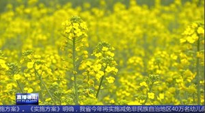 罗江：油菜花开争春景 美不胜收惹人醉