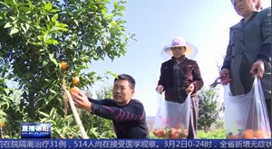 中江玉兴：退役不褪光彩  以产业助推家乡振兴