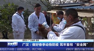 广汉：做好春季动物防疫 筑牢畜牧“安全网”