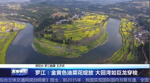 罗江：金黄色油菜花绽放 大回湾如巨龙穿梭 