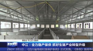 中江：全力稳产保供 抓好生猪产业转型升级