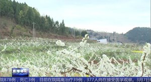 中江：春日赏花夏摘果 农旅融合促发展
