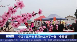 中江：三八节 桃花岭上来了一群“小粉褂”