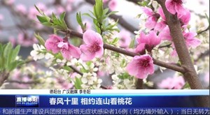 春风十里 相约连山看桃花