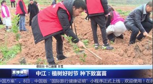 中江：植树好时节 种下致富苗 