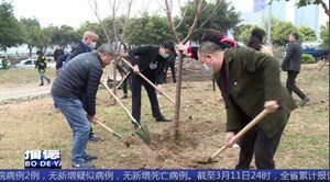 最是一年春光好 植树添绿正当时