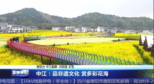 中江：品非遗文化 赏多彩花海
