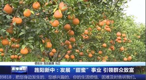 旌阳新中：发展“甜蜜”事业 引领群众致富