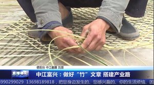 中江富兴：做好“竹”文章 搭建产业路  