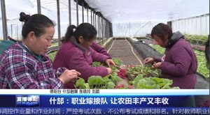 什邡：职业嫁接队 让农田丰产又丰收