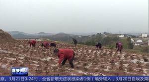 中江：春耕田管正当时 不负农时不负春