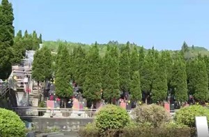 暗访督查森林防火工作 确保森林资源安全