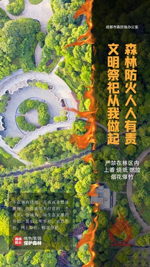 海报 ｜森林防火人人有责，文明祭祀从我做起
