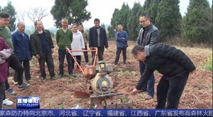 中江：丘陵坡地多 小农机来助力
