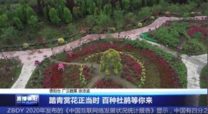 踏青赏花正当时 百种杜鹃等你来