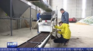 广汉：机械化育秧 促水稻生产提质增效