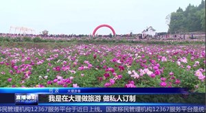 中江：芍药花开漫山野 乡村振兴新动能
