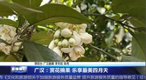 广汉：赏花摘果 乐享最美四月天
