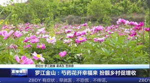罗江金山：芍药花开幸福来 扮靓乡村促增收