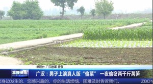广汉：男子上演真人版“偷菜” 一夜偷窃两千斤莴笋 
