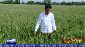 劳模张永德：播种绿色 收获幸福 带领乡亲走上致富路