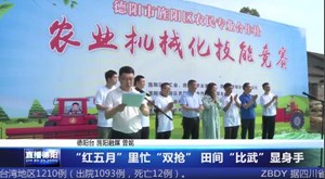 “红五月”里忙“双抢” 田间“比武”显身手
