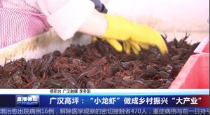 广汉高坪：“小龙虾”做成乡村振兴“大产业”