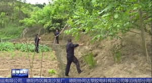 护航候鸟迁徙 中江森林公安在行动