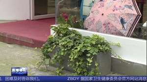 什邡：商户门口盆栽屡次丢失 监控揪出顺手牵羊的她