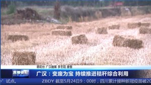 广汉：变废为宝 持续推进秸秆综合利用