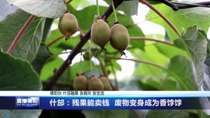 什邡：残果能卖钱  废物变身成为香饽饽