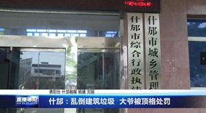 什邡：乱倒建筑垃圾  大爷被顶格处罚